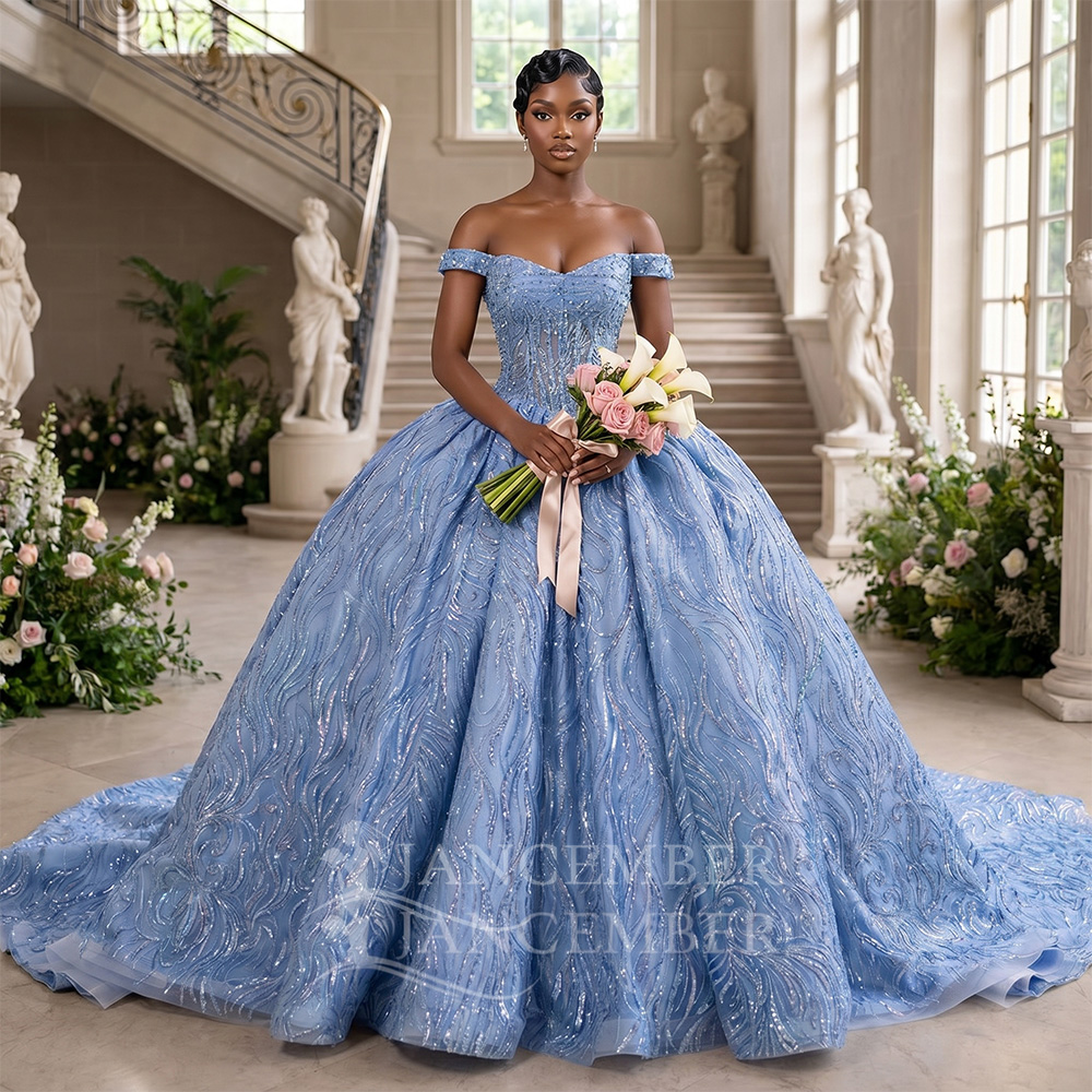 Embroidery Organza - Sukienka Quinceañera na zamówienie, niebieska, z